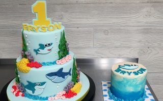 Baby Shark Smash Cake Ideas لم يسبق له مثيل الصور Tier3 Xyz
